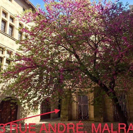 Appartement A 50 M De La Place Aux Herbes Uzès Exteriér fotografie