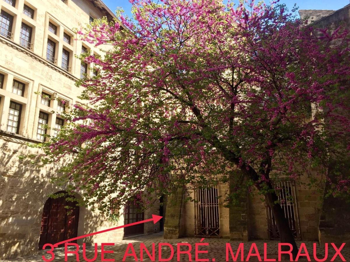 Appartement A 50 M De La Place Aux Herbes Uzès Exteriér fotografie